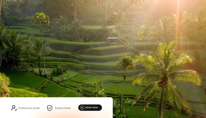 Explore the Beauty of Ubud and Nusa Penida with Exciting Bali Tours